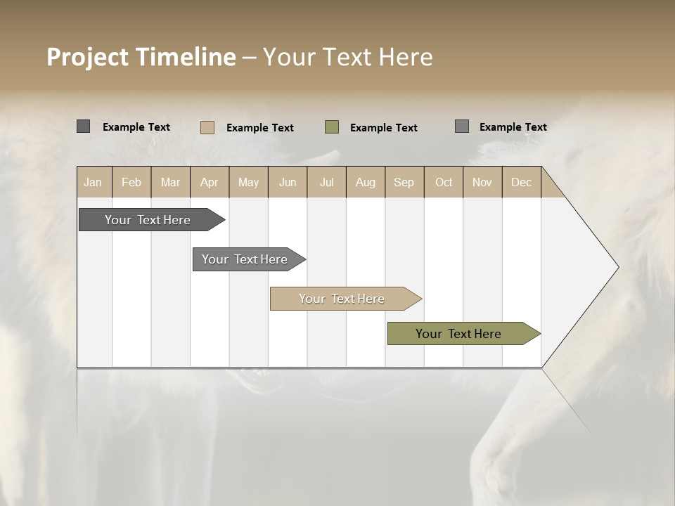 Boy Man Child PowerPoint Template