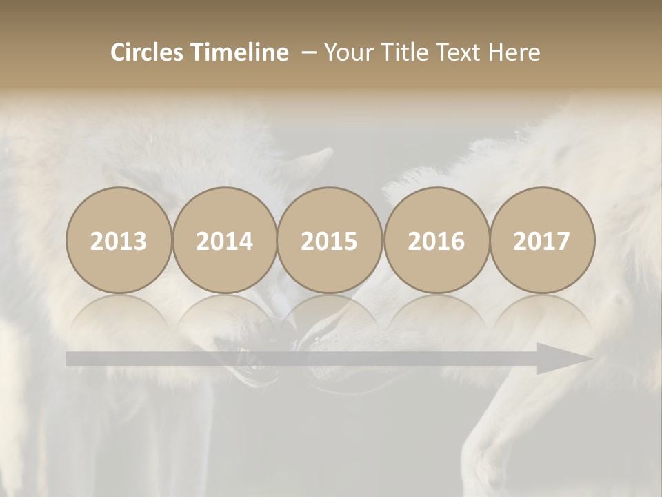 Boy Man Child PowerPoint Template