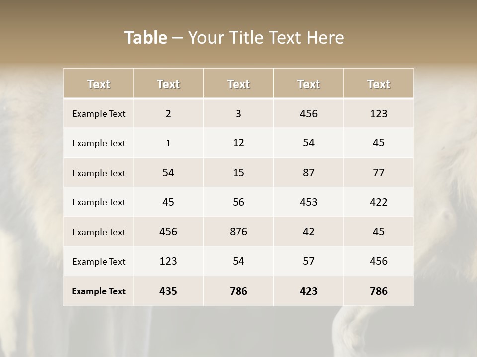 Boy Man Child PowerPoint Template