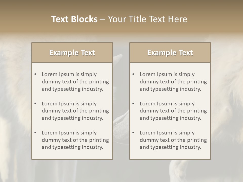 Boy Man Child PowerPoint Template