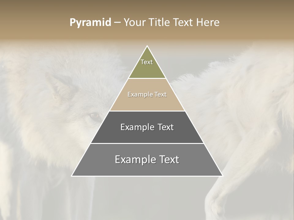 Boy Man Child PowerPoint Template