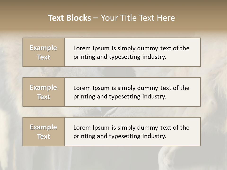 Boy Man Child PowerPoint Template