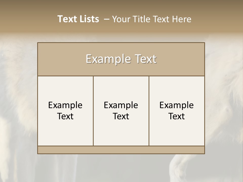 Boy Man Child PowerPoint Template