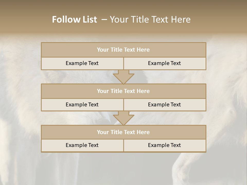 Boy Man Child PowerPoint Template