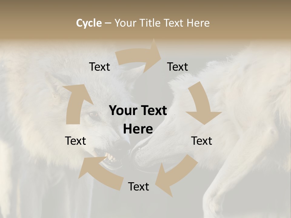 Boy Man Child PowerPoint Template