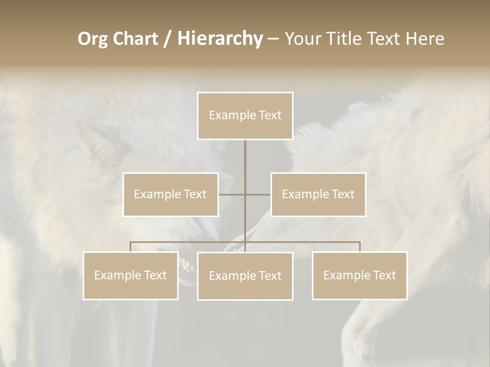 Boy Man Child PowerPoint Template