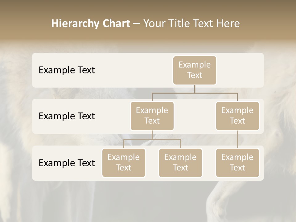 Boy Man Child PowerPoint Template