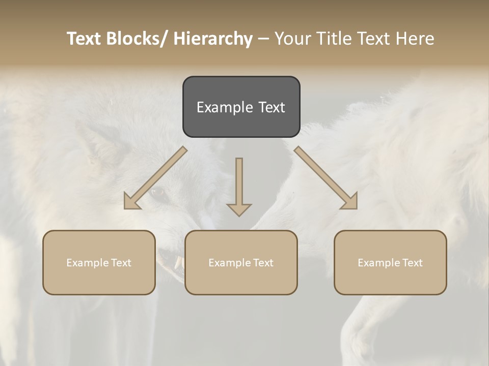 Boy Man Child PowerPoint Template