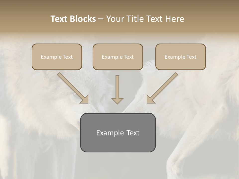 Boy Man Child PowerPoint Template