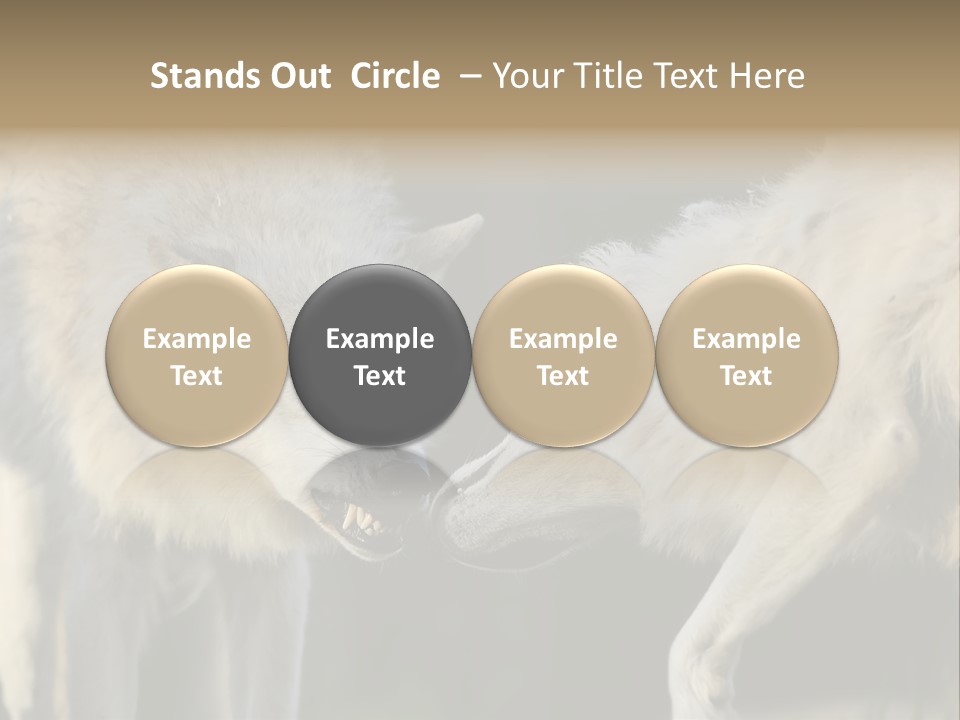 Boy Man Child PowerPoint Template