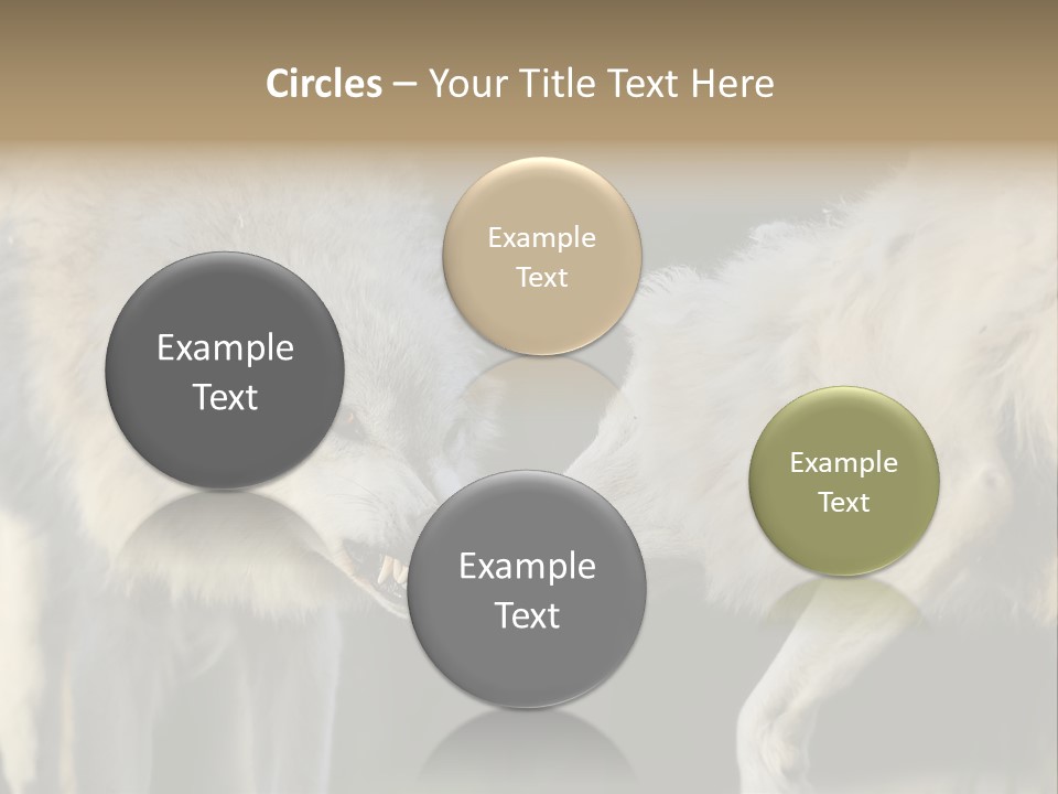 Boy Man Child PowerPoint Template