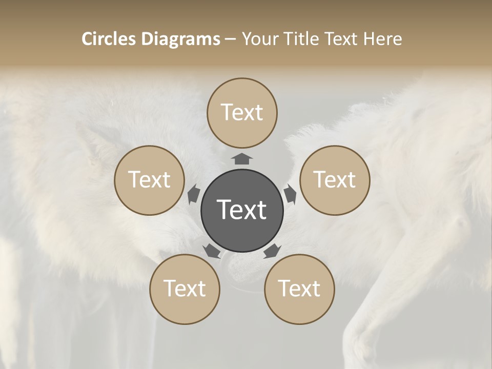 Boy Man Child PowerPoint Template