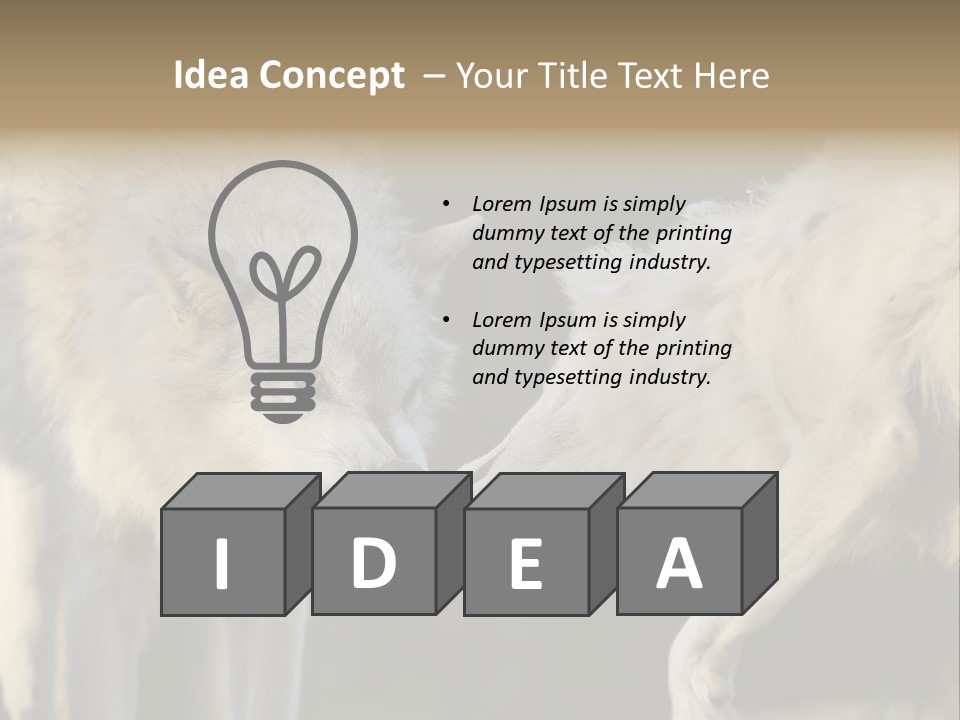 Boy Man Child PowerPoint Template