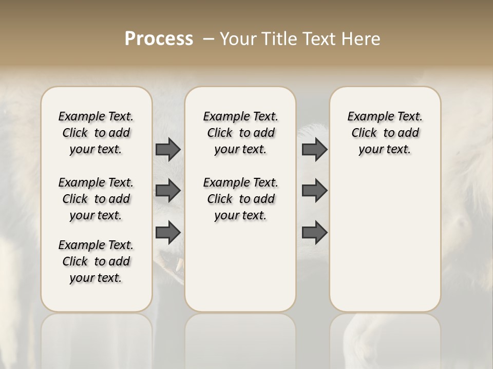 Boy Man Child PowerPoint Template