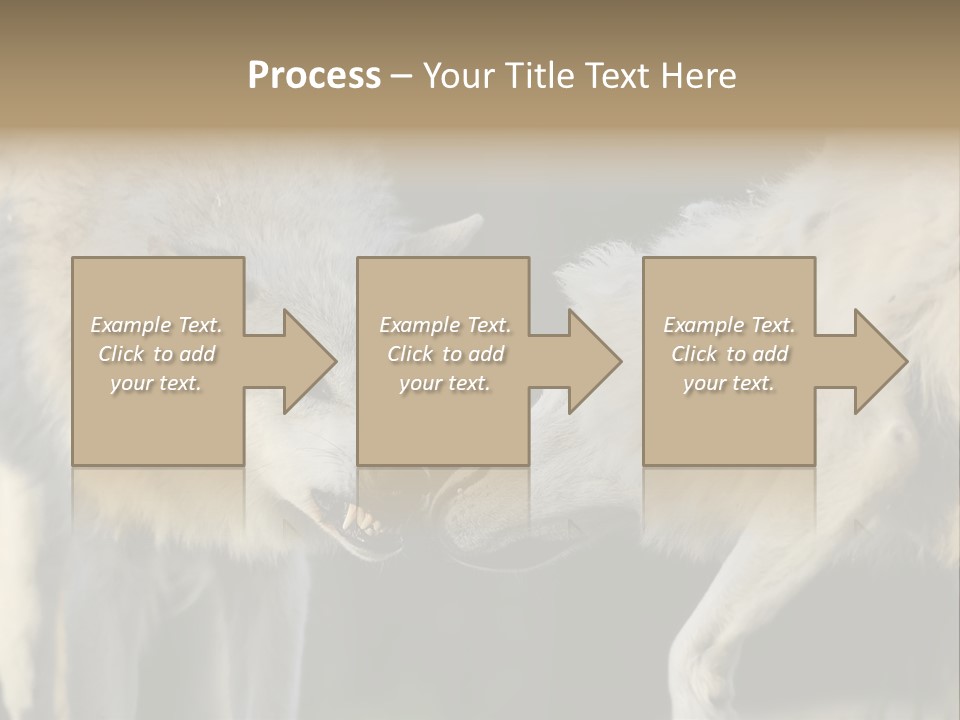 Boy Man Child PowerPoint Template