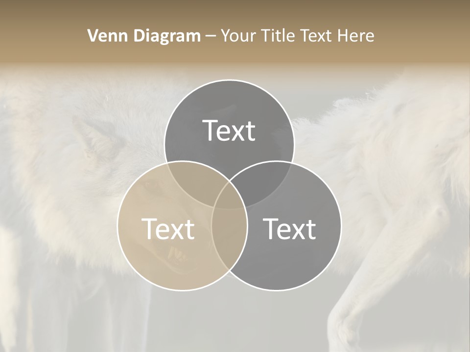 Boy Man Child PowerPoint Template