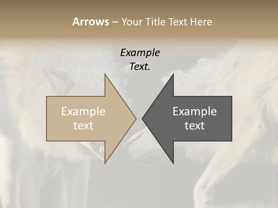 Boy Man Child PowerPoint Template