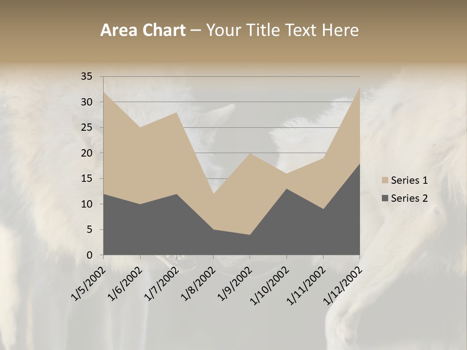 Boy Man Child PowerPoint Template