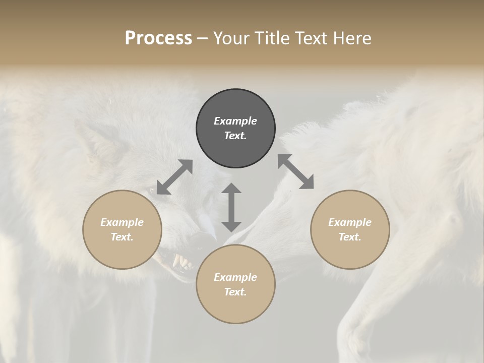 Boy Man Child PowerPoint Template