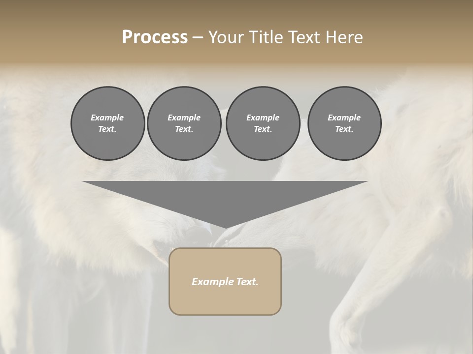 Boy Man Child PowerPoint Template