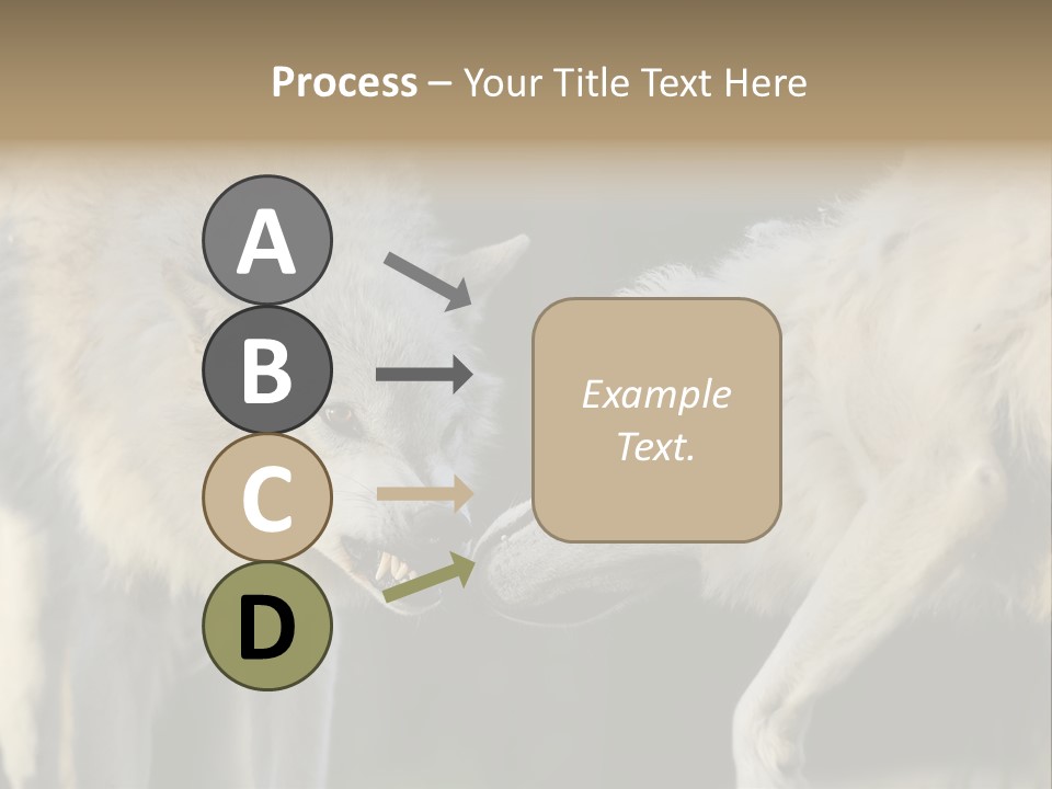 Boy Man Child PowerPoint Template