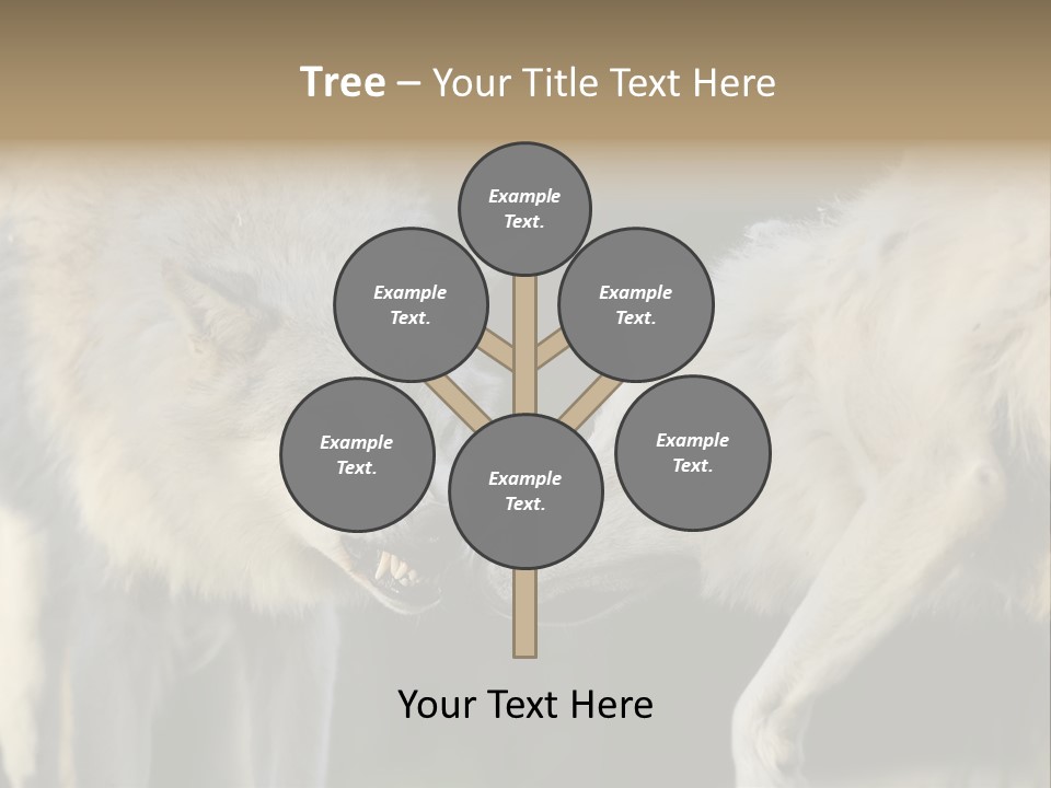 Boy Man Child PowerPoint Template