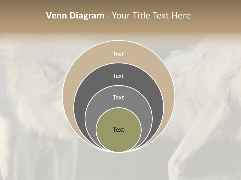 Boy Man Child PowerPoint Template