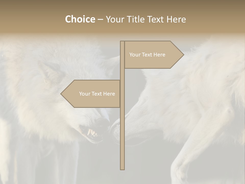 Boy Man Child PowerPoint Template