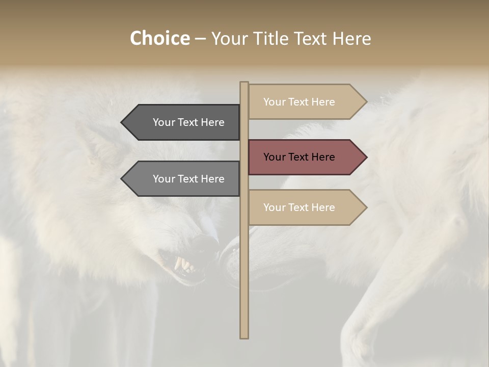 Boy Man Child PowerPoint Template