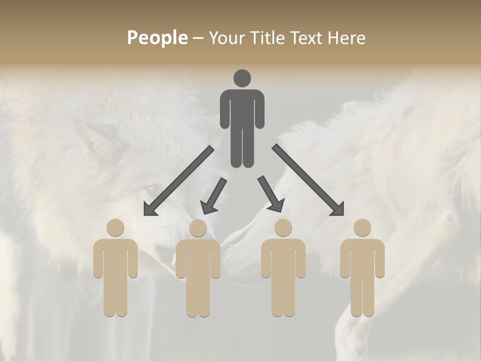 Boy Man Child PowerPoint Template