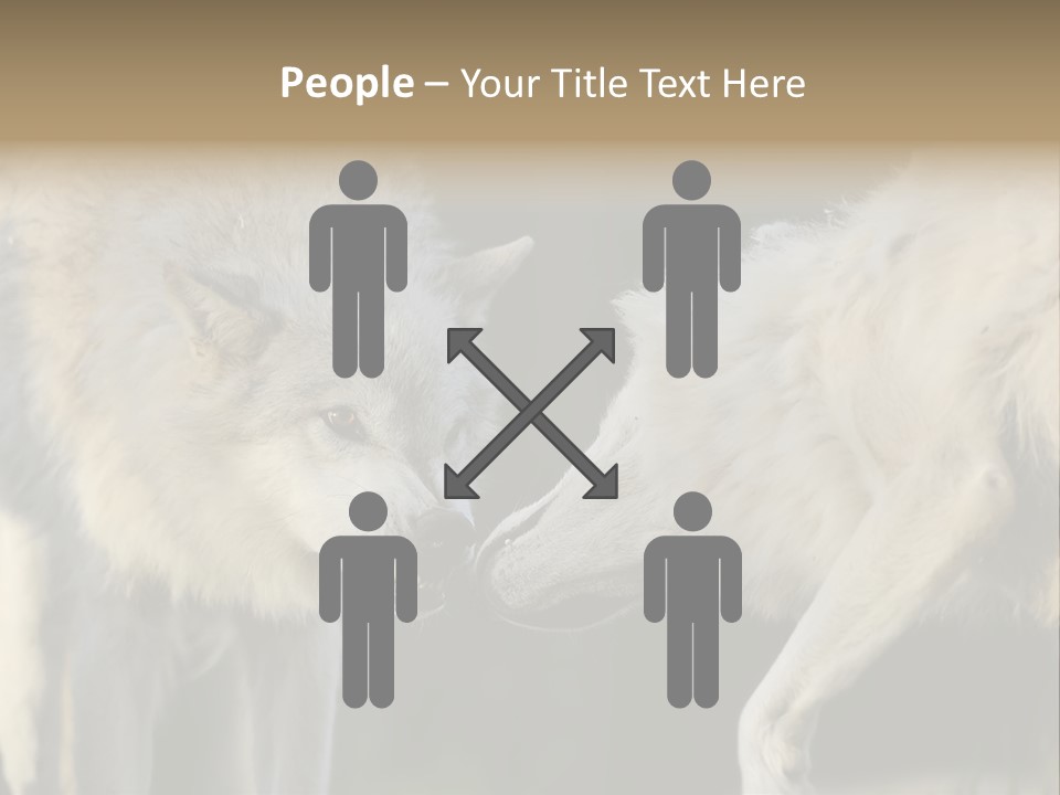 Boy Man Child PowerPoint Template