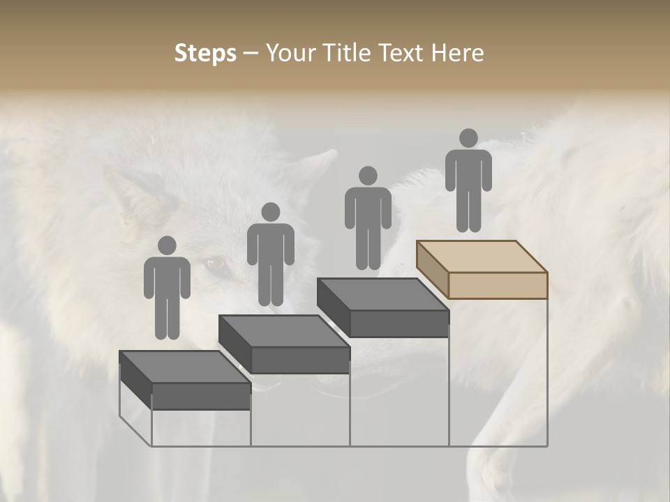 Boy Man Child PowerPoint Template