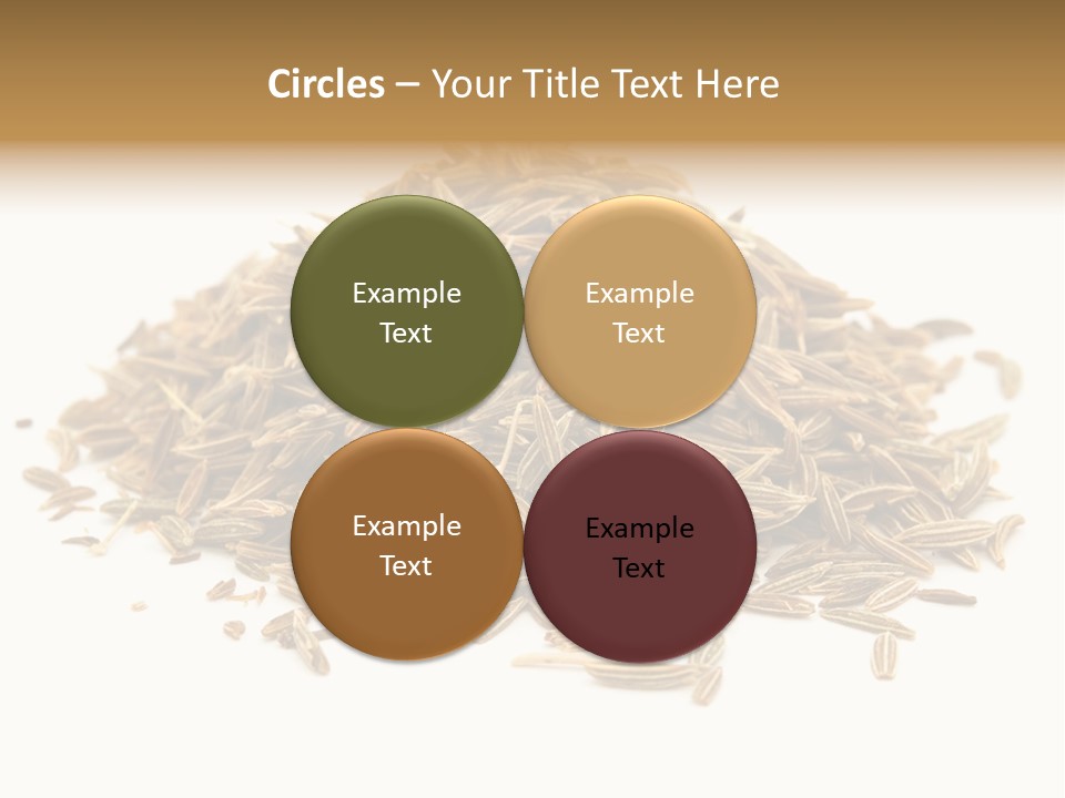 Ingredient Meridian Isolated PowerPoint Template