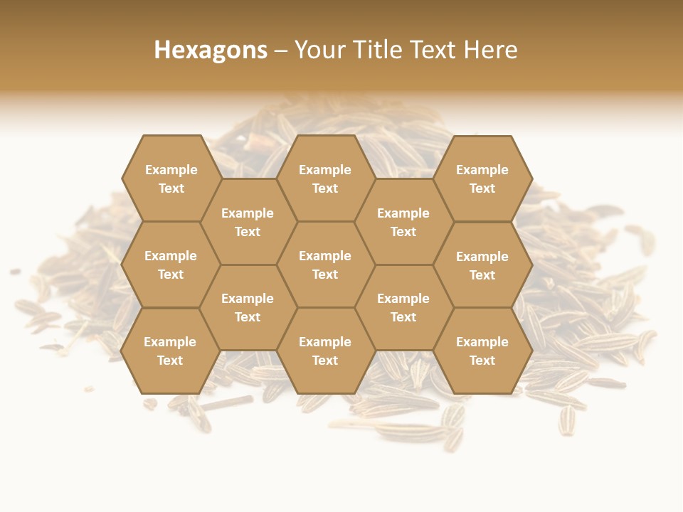 Ingredient Meridian Isolated PowerPoint Template