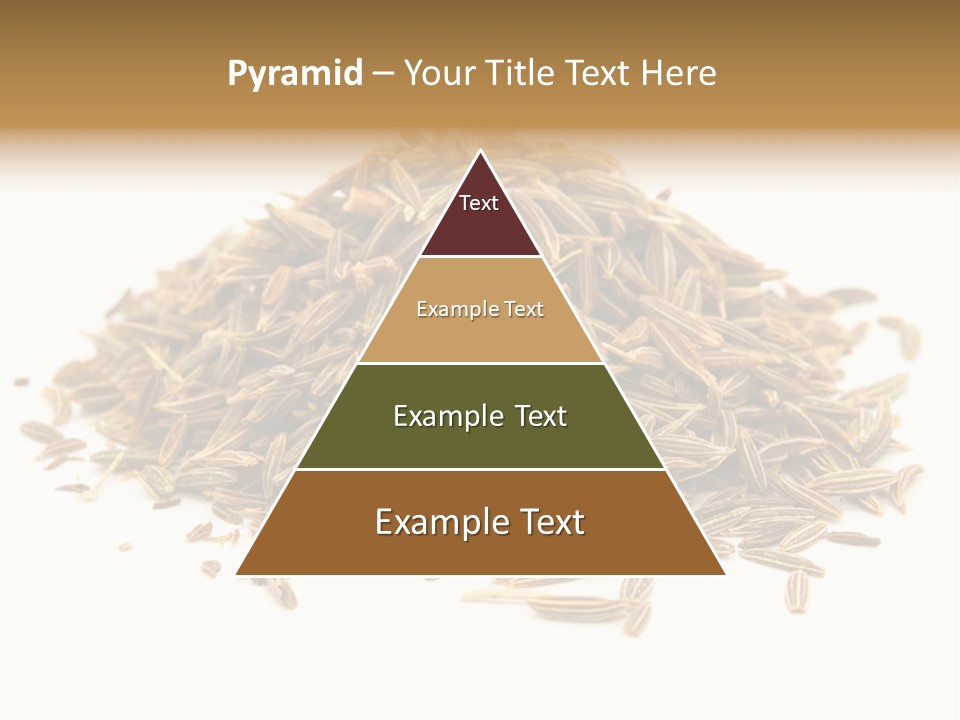 Ingredient Meridian Isolated PowerPoint Template