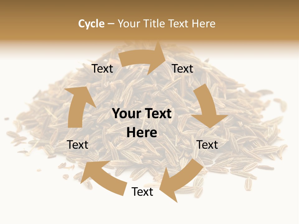 Ingredient Meridian Isolated PowerPoint Template