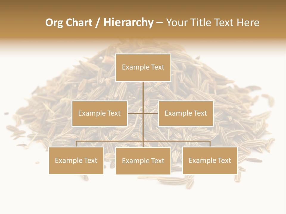 Ingredient Meridian Isolated PowerPoint Template
