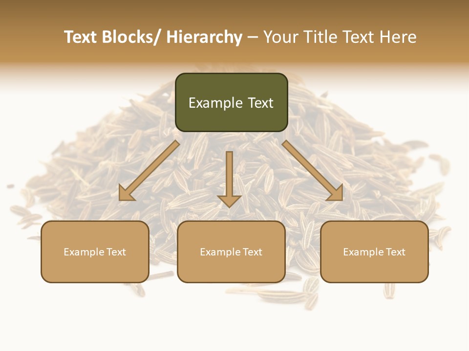 Ingredient Meridian Isolated PowerPoint Template