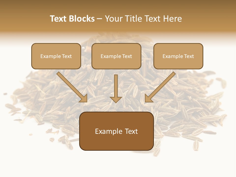 Ingredient Meridian Isolated PowerPoint Template