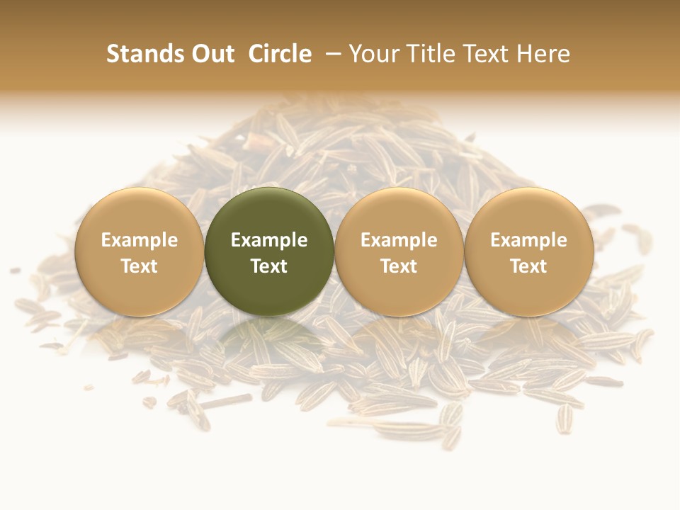 Ingredient Meridian Isolated PowerPoint Template