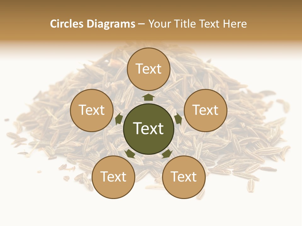 Ingredient Meridian Isolated PowerPoint Template