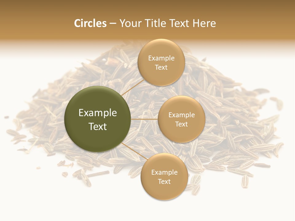 Ingredient Meridian Isolated PowerPoint Template