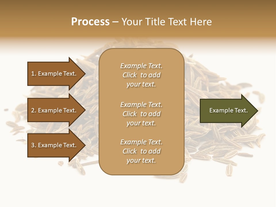 Ingredient Meridian Isolated PowerPoint Template
