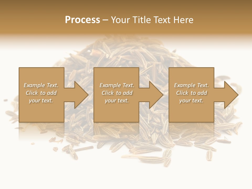 Ingredient Meridian Isolated PowerPoint Template