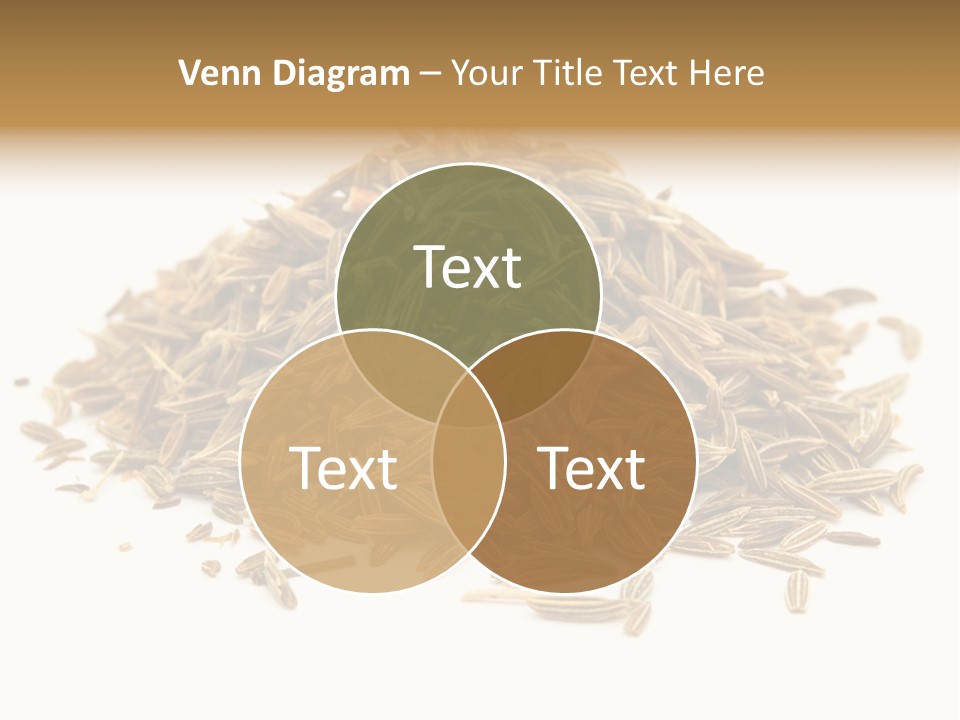 Ingredient Meridian Isolated PowerPoint Template