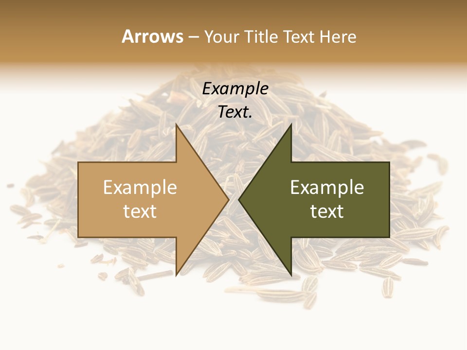 Ingredient Meridian Isolated PowerPoint Template