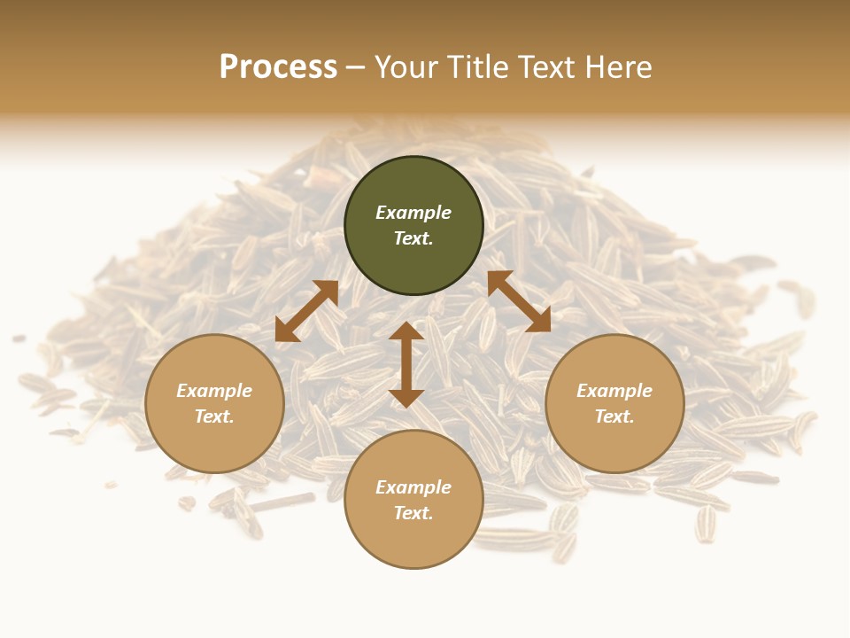 Ingredient Meridian Isolated PowerPoint Template