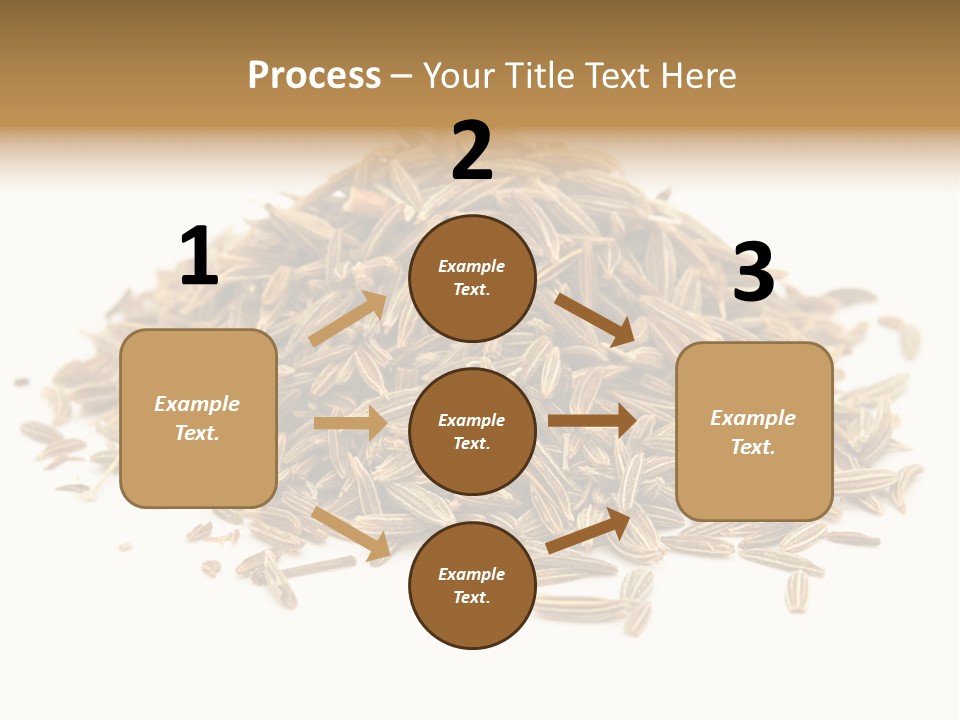 Ingredient Meridian Isolated PowerPoint Template