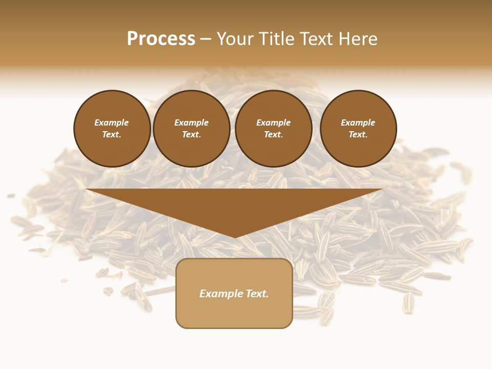 Ingredient Meridian Isolated PowerPoint Template