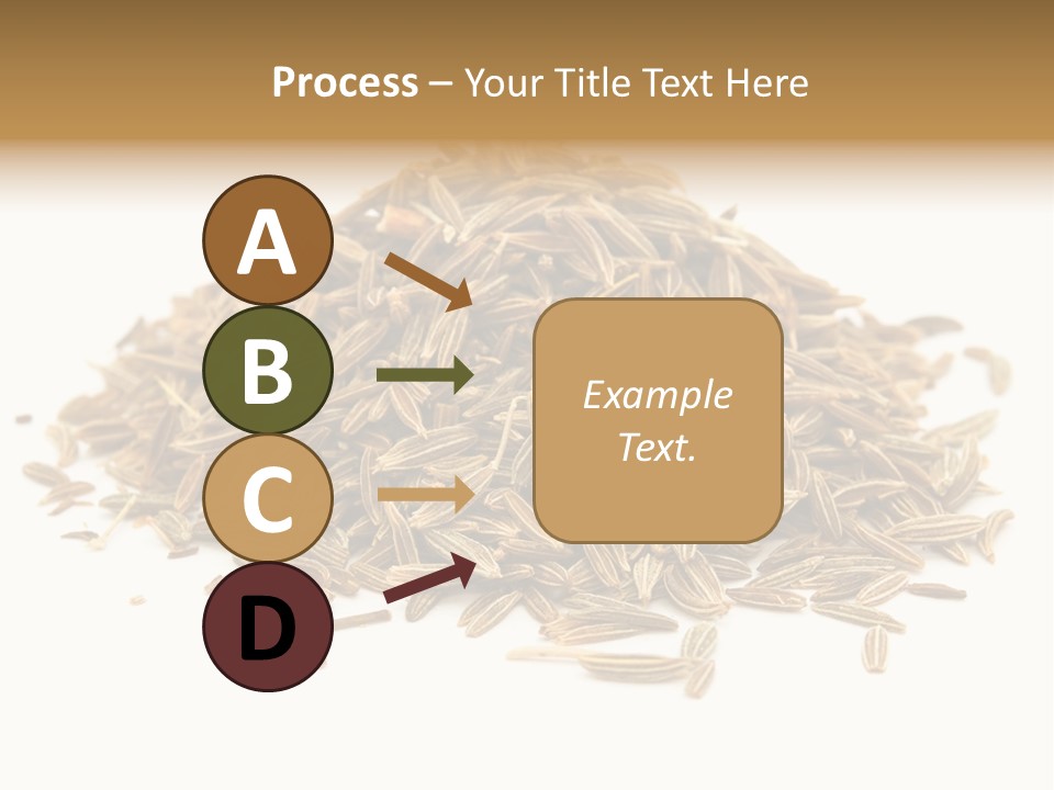 Ingredient Meridian Isolated PowerPoint Template